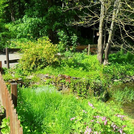 Hoellenmuehle Bed & Breakfast At The Mill Pond ヘッシシュ・オルデンドルフ エクステリア 写真
