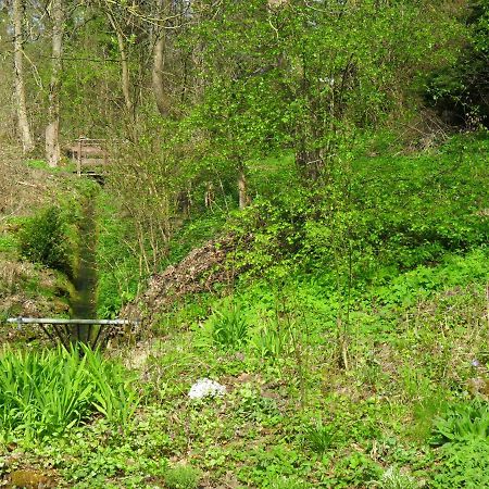 Hoellenmuehle Bed & Breakfast At The Mill Pond ヘッシシュ・オルデンドルフ エクステリア 写真
