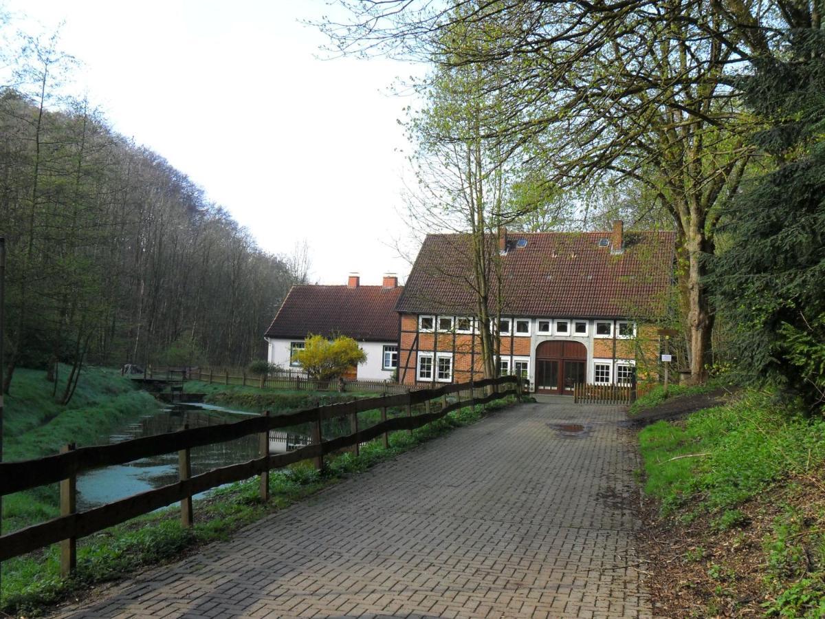 Hoellenmuehle Bed & Breakfast At The Mill Pond ヘッシシュ・オルデンドルフ エクステリア 写真