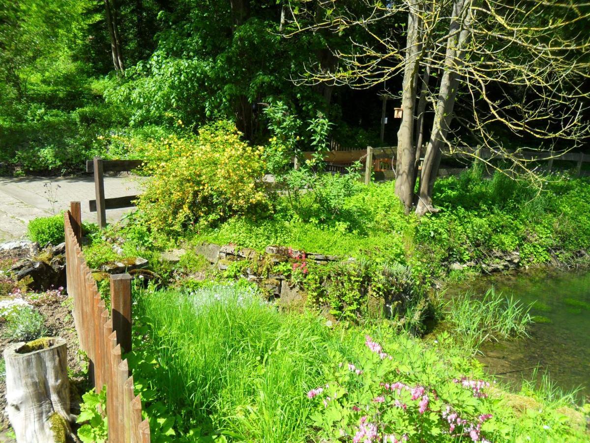 Hoellenmuehle Bed & Breakfast At The Mill Pond ヘッシシュ・オルデンドルフ エクステリア 写真