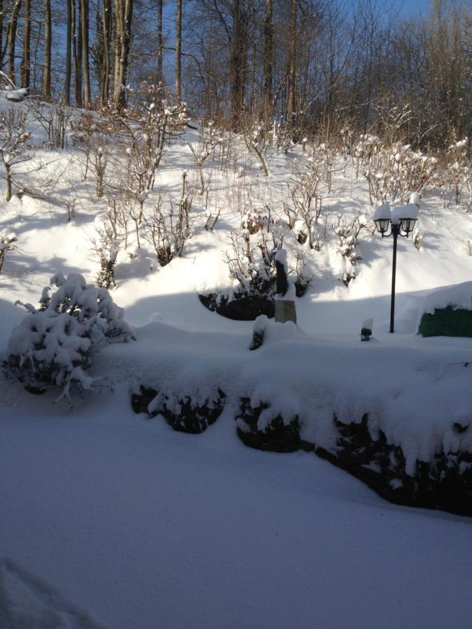 Hoellenmuehle Bed & Breakfast At The Mill Pond ヘッシシュ・オルデンドルフ エクステリア 写真