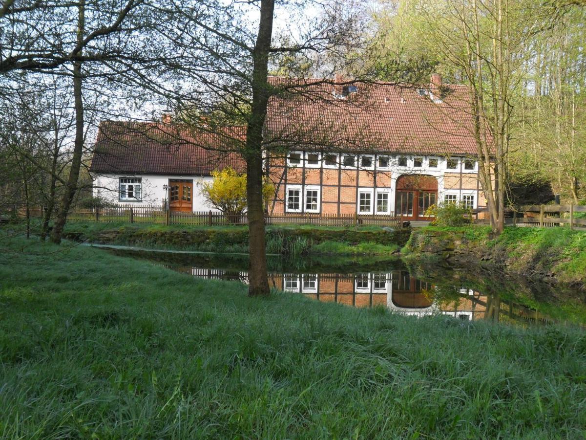 Hoellenmuehle Bed & Breakfast At The Mill Pond ヘッシシュ・オルデンドルフ エクステリア 写真