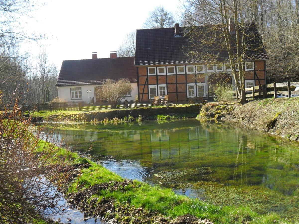 Hoellenmuehle Bed & Breakfast At The Mill Pond ヘッシシュ・オルデンドルフ エクステリア 写真