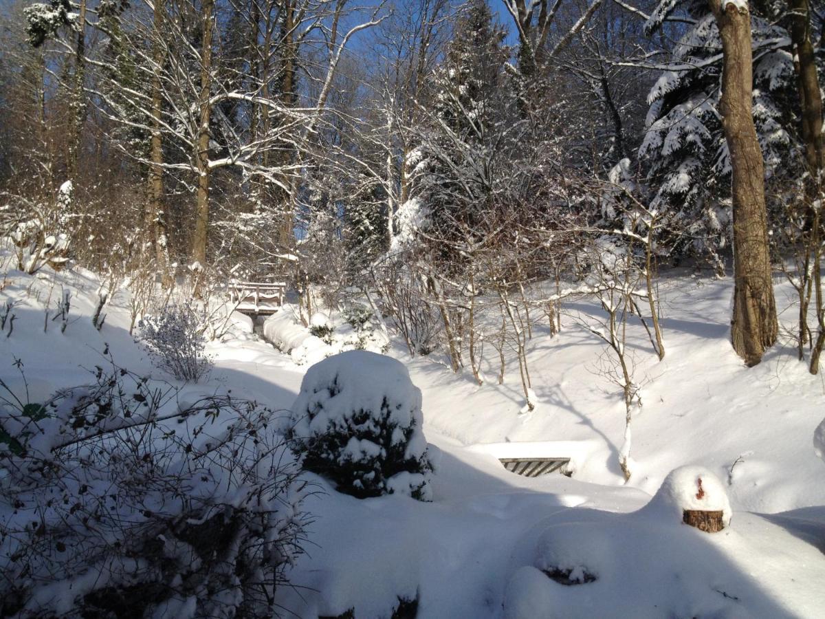 Hoellenmuehle Bed & Breakfast At The Mill Pond ヘッシシュ・オルデンドルフ エクステリア 写真